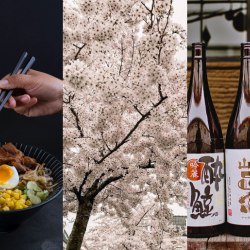 O saquê na gastronomia japonesa - Japa Brasil - Japanese Food