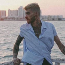 Reprodução | Instagram @zaynmalik