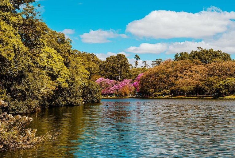 Reprodução/Instagram @ibirapueraoficial