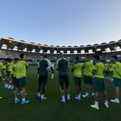 Reprodução/Instagram @palmeiras