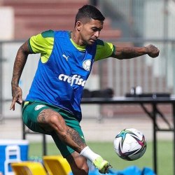 Reprodução/Instagram SE Palmeiras