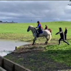 cavalo pulando para símbolo de esporte de corrida de cavalos