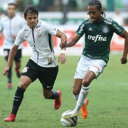 Reprodução/Flickr Sociedade Esportiva Palmeiras