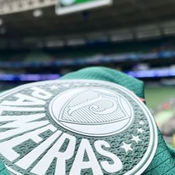 Foto: Reprodução/Redes sociais @palmeiras