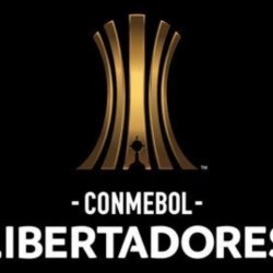 Reprodução / Twitter @LibertadoresBR