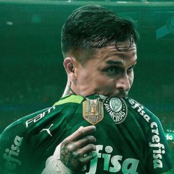 Reprodução/Instagram @Palmeiras