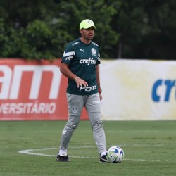 Reprodução / Facebook SE Palmeiras