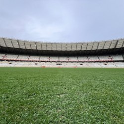 Reprodução/X/@Mineirao