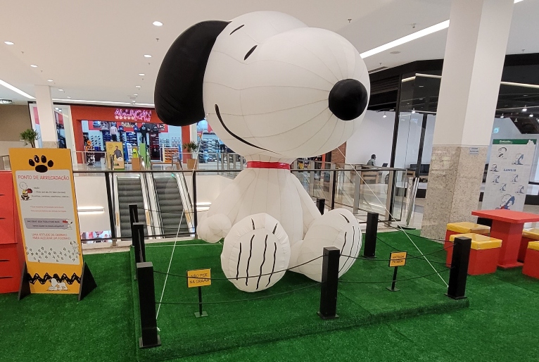 Roda-gigante da Galinha Pintadinha - Jardim Norte