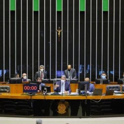 Reprodução/Câmara dos Deputados