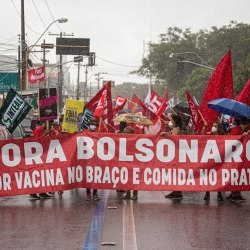 Manifestantes pedem saída de Bolsonaro e vacinas contra Covid-19