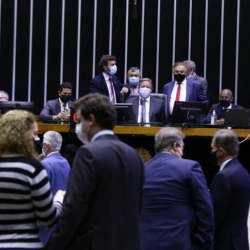 Reprodução/Câmara dos Deputados