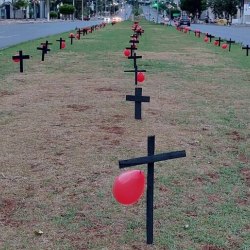 Reprodução/ Pedro Fim - Observatório Social de MT