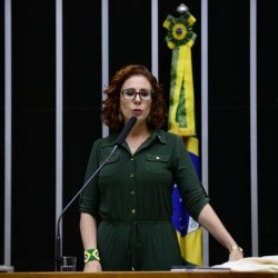 Reprodução/ Nilson Bastian/Câmara dos Deputados