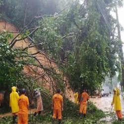 Reprodução/Twitter