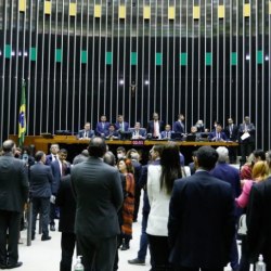 Reprodução/Elaine Menke/Câmara dos Deputados