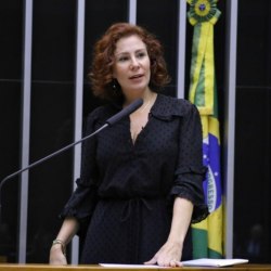 Reprodução/ Michel Jesus/Câmara dos Deputados