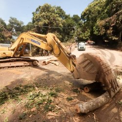 Foto: Thales Stadler/Governo do Estado de SP