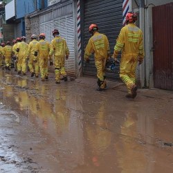 Governo de SP publica decreto de criação da Gerência de Apoio do Litoral  Norte