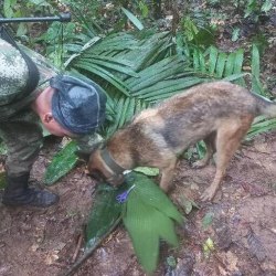 Reprodução/Fuerzas Militares de Colombia