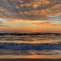 Reprodução / Facebook Praia do Rosa - SC