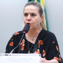 Foto: Vinicius Loures/Câmara dos Deputados