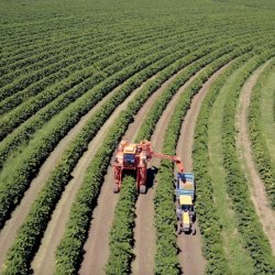 Campo & Sustentabilidade - Divulgação TV Cultura