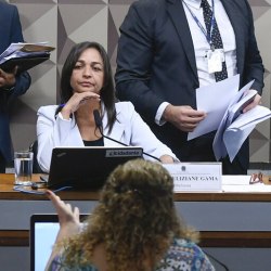 Reprodução - Edilson Rodrigues/Agência Senado