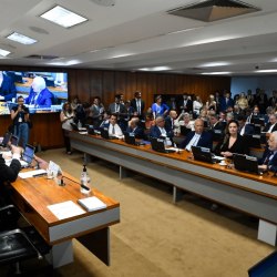 Foto: Roque de Sá/Agência Senado