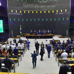 Zeca Ribeiro / Câmara dos Deputados