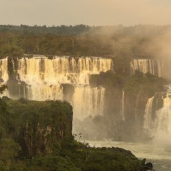 Yuri Medeiros Brasil