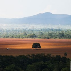  Foto: Marcelo Camargo/Agência Brasil