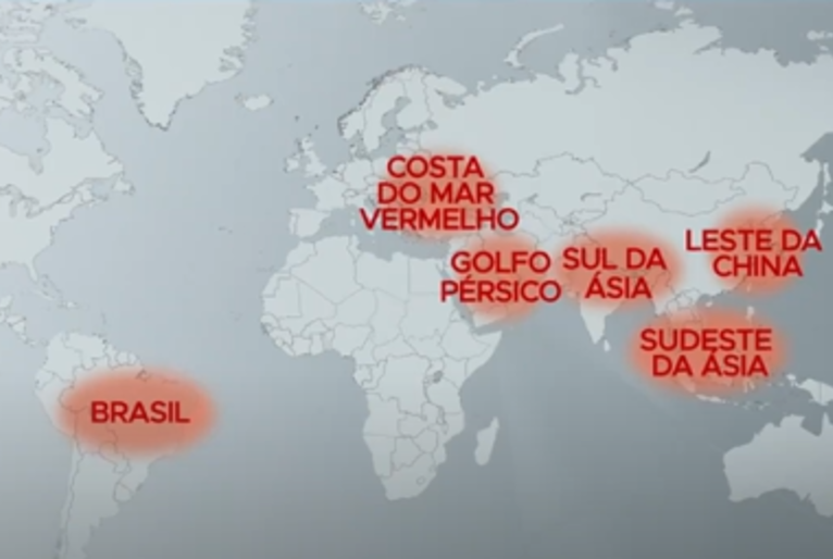 Reprodução | TV Cultura