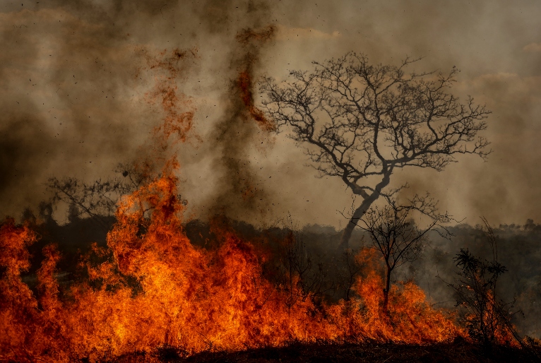 Foto: Marcelo Camargo/Agência Brasil