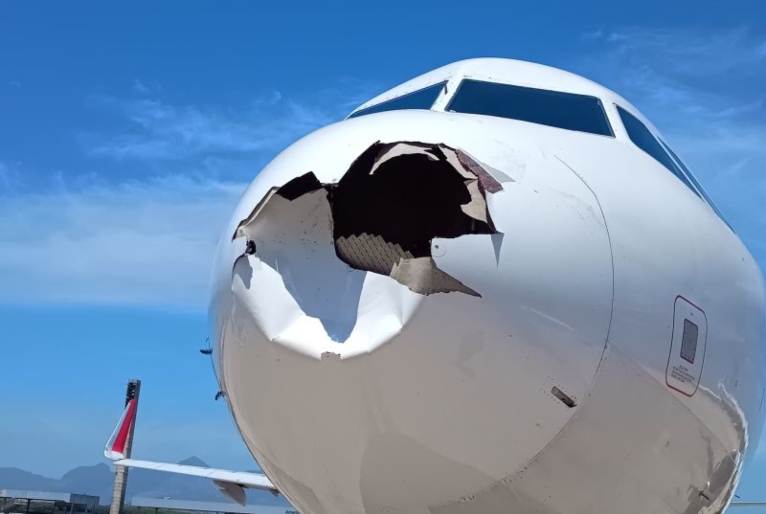 Avião da Latam colide com pássaro no Rio de Janeiro 