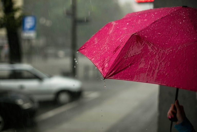 Temporal em SP causa a queda de 330 árvores; mais de 60 mil imóveis seguem sem luz