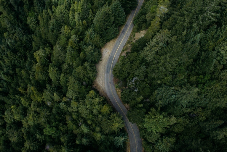 Rodovia na Amazônia gera polêmica antes da COP30; saiba mais