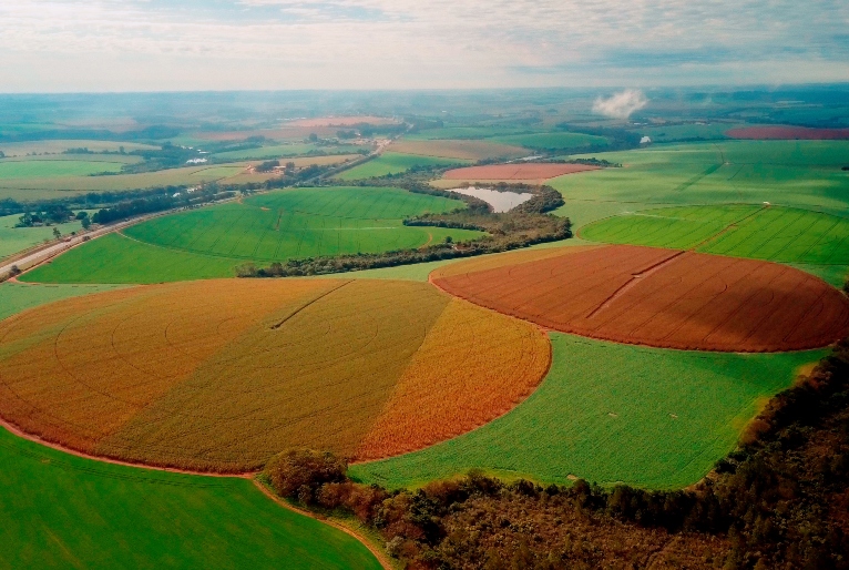 TV Cultura celebra o Dia Mundial da Agricultura com exibição de documentário inédito nesta quarta (19)