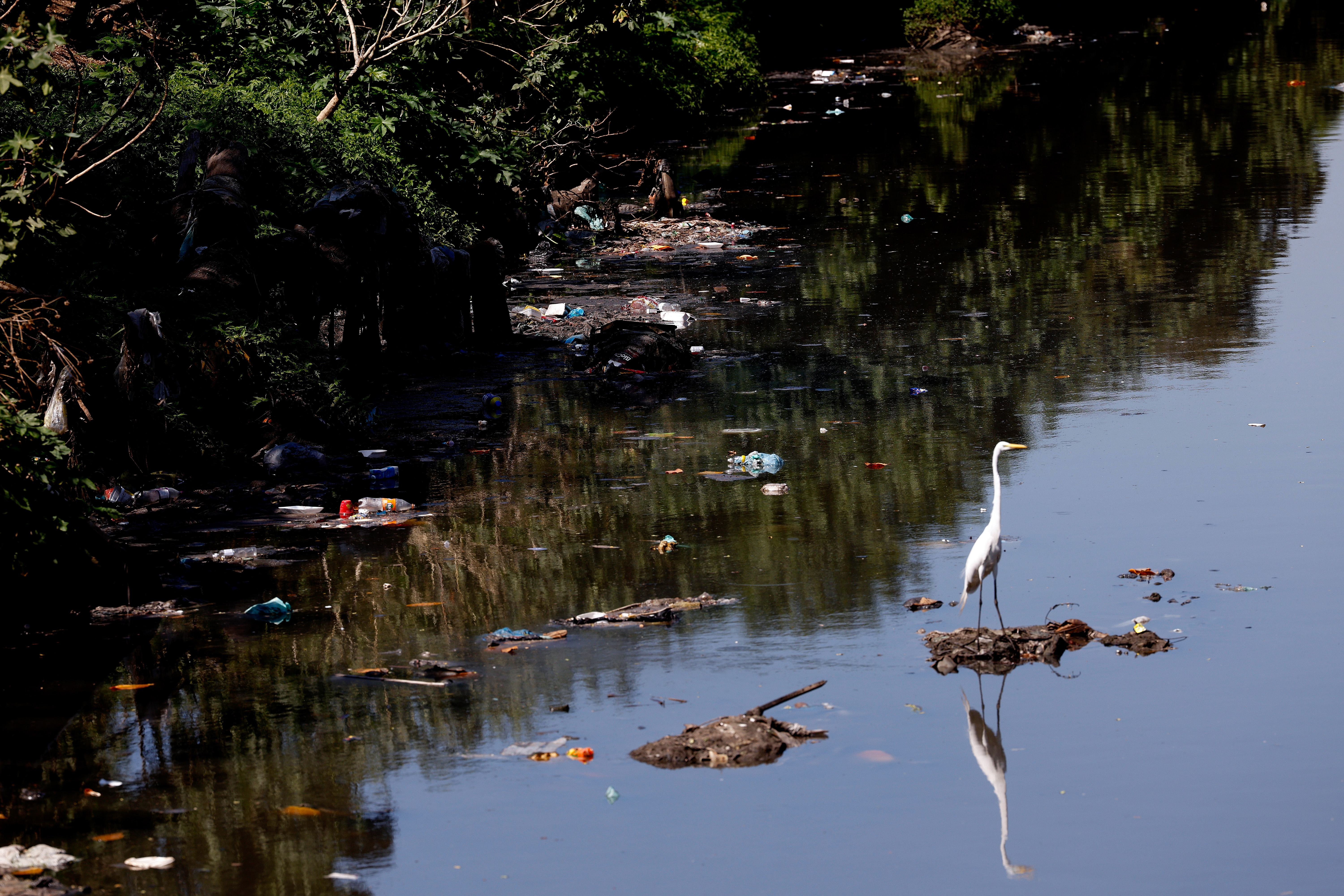 Falta de saneamento provocou 344 mil internações no Brasil em 2024, diz pesquisa