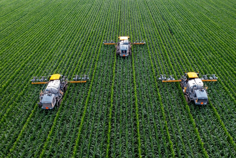 Reprodução/ Unsplash