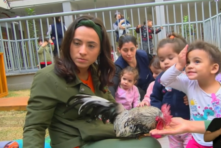 Reprodução | TV Cultura 