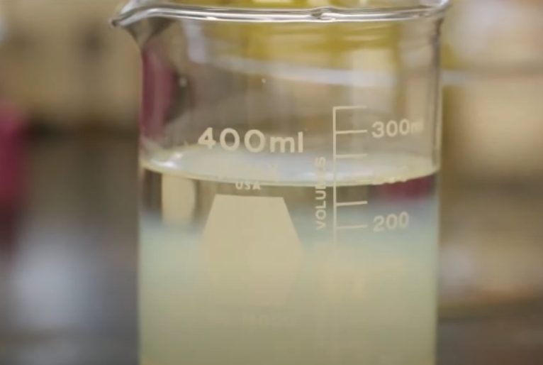 Reprodução | TV Cultura 