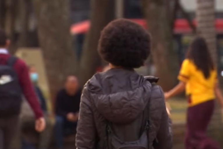 Reprodução/ TV Cultura 