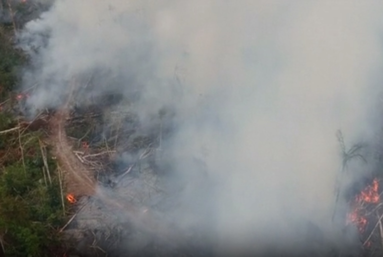 Repórter Eco: especialistas analisam como derrubada de vetos do 